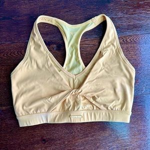 Whitney Simmons Mesh Sports Bra in Pollen (2021)